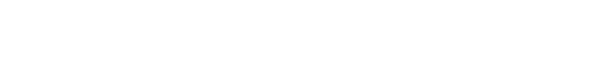 BostonTeam Logo